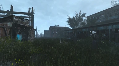 Patched for Commonwealth Reclamation Project: Overgrowth