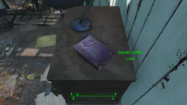 Journal found in the ruins of your neighbors' house.