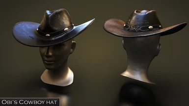 Obi's Cowboy Hat - 4K
