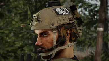 Task Force Helmet 2 Pack V1 at Fallout 4 Nexus - Mods and community