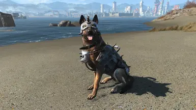 Dog Armour Equipped
