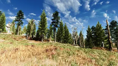 Psycho LUT v1.0 (initial release)
