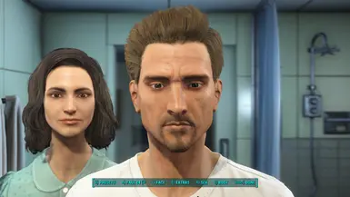 Companions of Fallout 3 and New Vegas - Presets at Fallout 4 Nexus