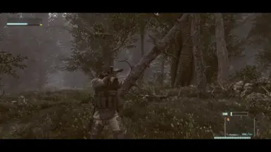 3rd Person Pistols ADS Style G