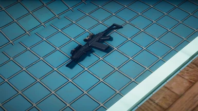 I lost my guns in a pool accident