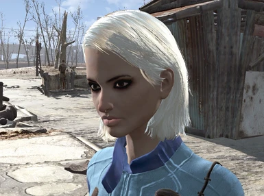 Blondie Curie at Fallout 4 Nexus - Mods and community