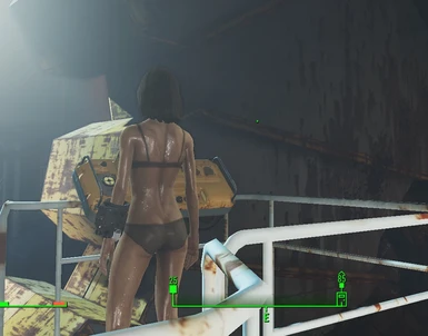 Fallout 4 remove companion clothes