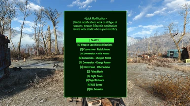 Quick Modification main menu for guns
