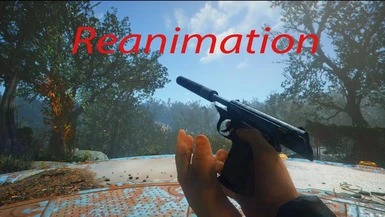 Deliverer Reanimation - FiddlerGreen's Beretta Animations
