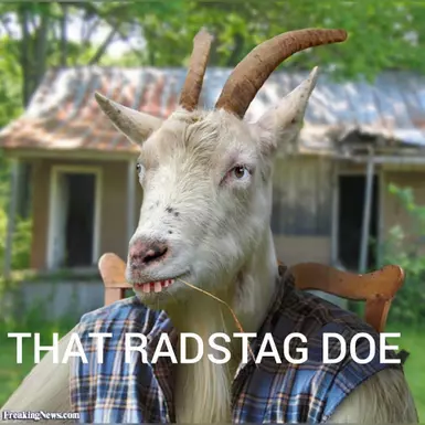 Meme Stags