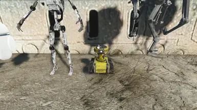 Wasteland Robot