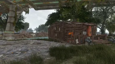 Finch Farm: Before