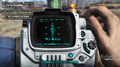 Moddable Pip-Boy Base and Companion Pip-Boy at Fallout 4 Nexus - Mods ...