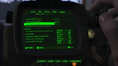 GAU-19 PIPBOY View