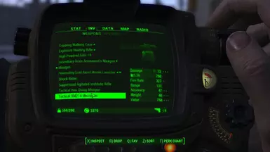 XM214 Microgun PIPBOY View