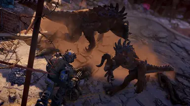 normal and runt for comparison