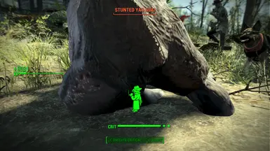 V1.0