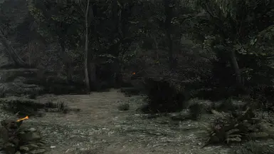 Standard Tracers