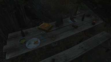 BEFORE, LITERALLY A RAIDER'S PICNIC IN THE WASTELAND