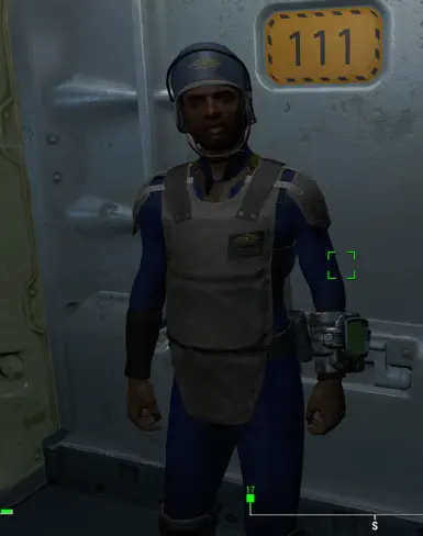 Vault 111