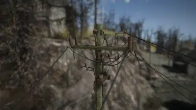 MossyTPoles