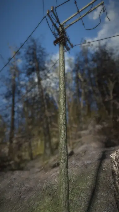 MossyTpoles