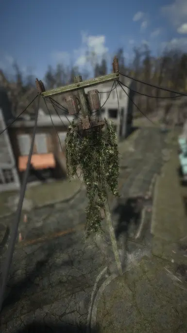 MossyTPoles