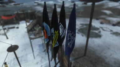 4 Major Faction flags you can pick n choose to keep
