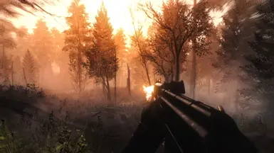 EFT Reshade