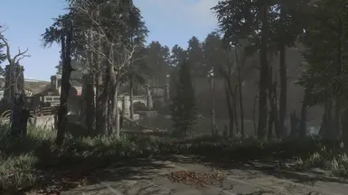 Vanilla