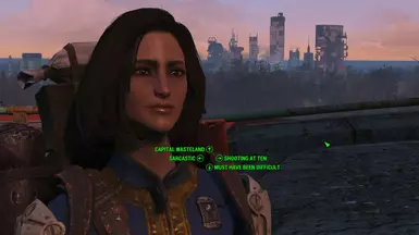 Ashley - Female Sole Survivor Looks Menu Preset at Fallout 4 Nexus