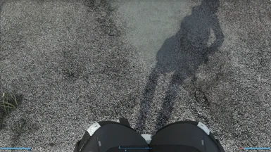 First Person Body View + Shadow