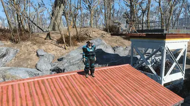This game has a SERIOUS OBSESSION with making NPCs stand on top of roofs...