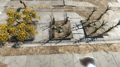 Stage 2 - Three garden plots on road. Plots easily relocated by player.