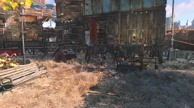 There's a home for Dogmeat too