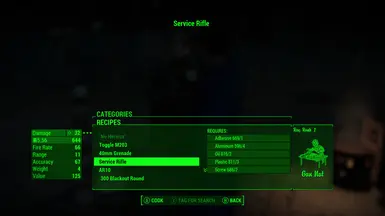 Service Rifle