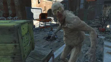 Feral Ghoul
