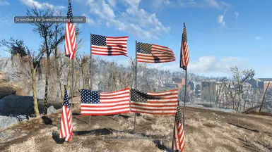 OLD GLORY 'Stars &amp; Stripes' United States of America
