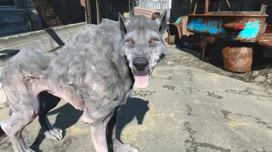 White Wolf