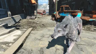 White Wolf