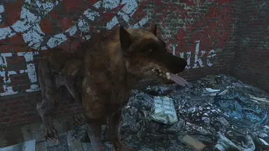 Red Wolf