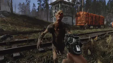 Ghost ENB - off