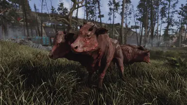 Ghost ENB - off