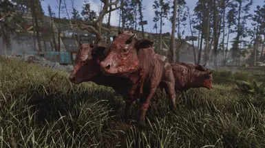 Ghost ENB - on