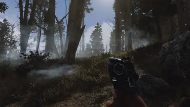 Ghost ENB - off
