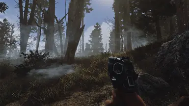 Ghost ENB - on