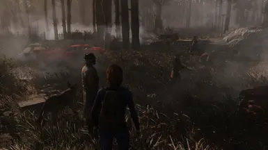 Visceral ENB - off