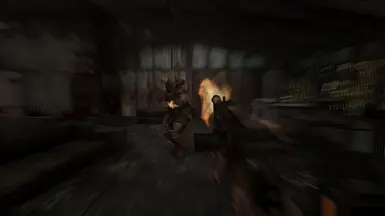 Visceral ENB - off