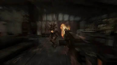 Visceral ENB - on