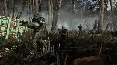 Visceral ENB - on